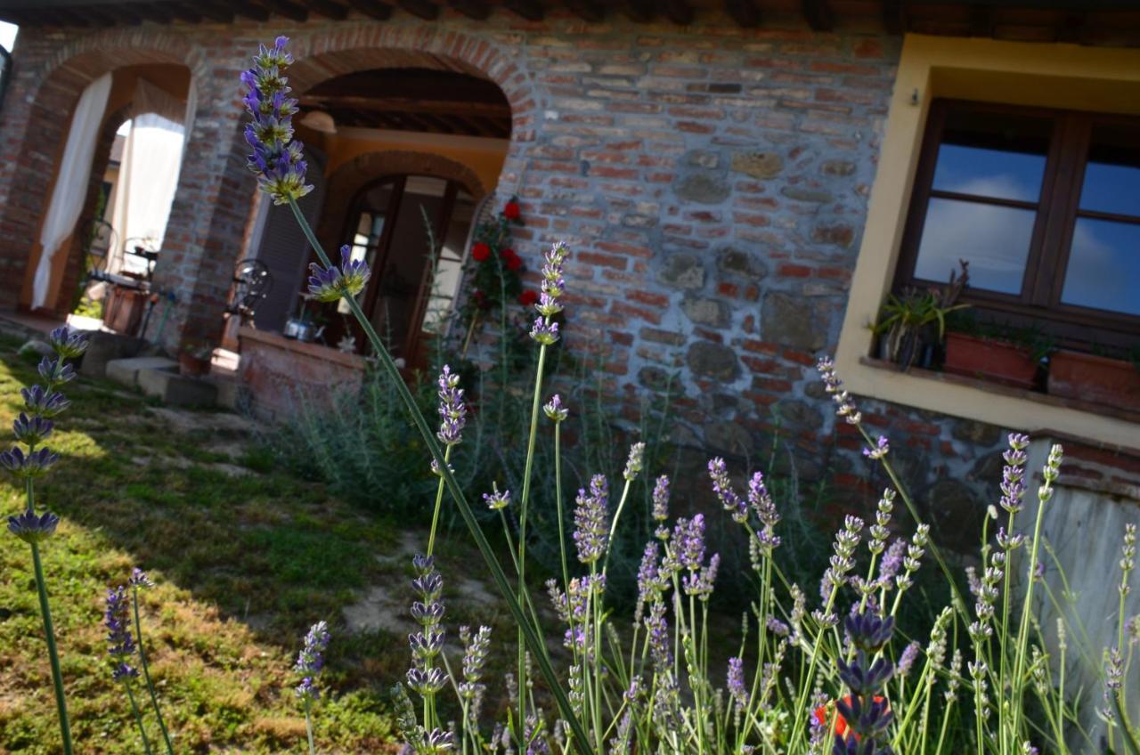 Casa Magnolia Appartement Terricciola Buitenkant foto